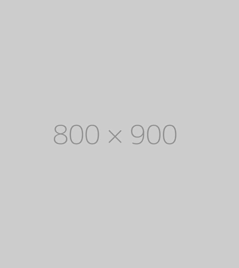 hongo 800x900-ph